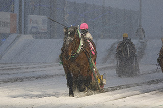 帯広_ばんえい競馬2020
