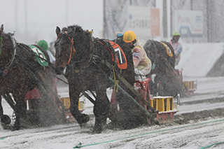 帯広_ばんえい競馬2020-002
