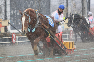 帯広_ばんえい競馬2020-001