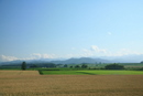 夏の小麦畑