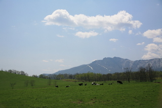 円山牧場