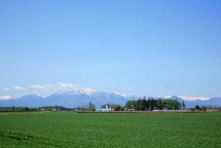 畑と日高山脈