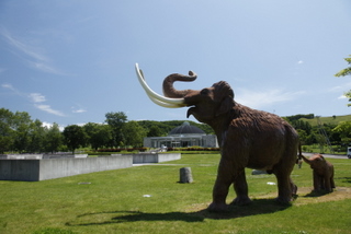 ナウマン象記念館